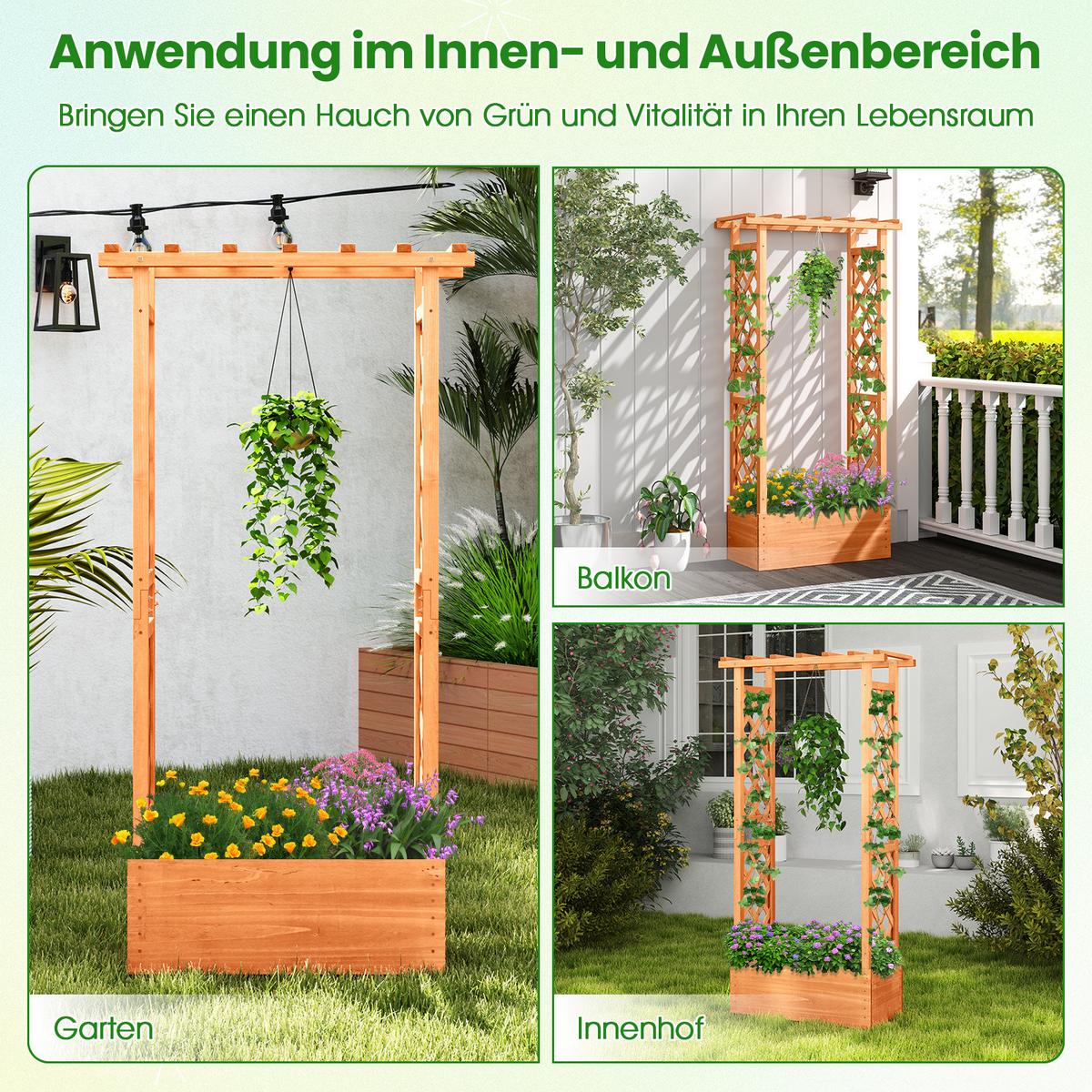 HOCHBEET Orange - Orange, Holz (66/152/32cm) - COSTWAY