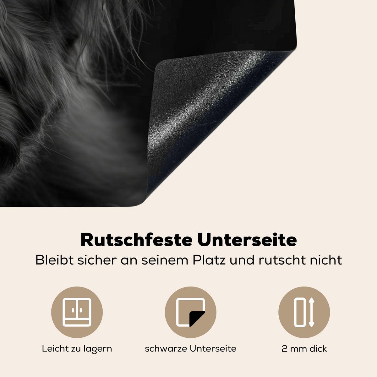 HERDABDECKPLATTE Scottish Highlander - Schwarz - Kalb - Kuh Induktionsmatte 81x52 cm - Schwarz, Kunststoff (81/52/0.2cm) - MuchoWow