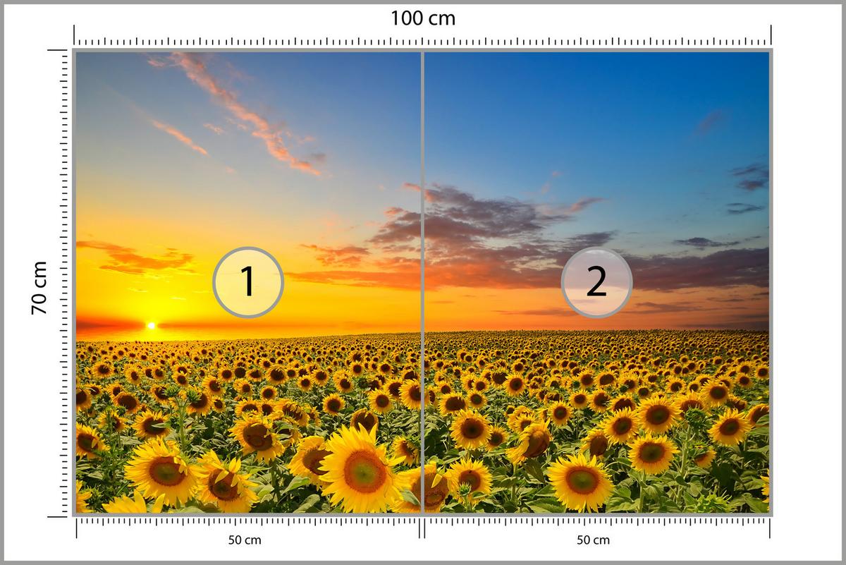FOTOTAPETE für Küche Sonnenuntergang Sonnenblumenfeld Blumen 100x70 - Gelb/Orange, Papier (100/70cm) - Muralo