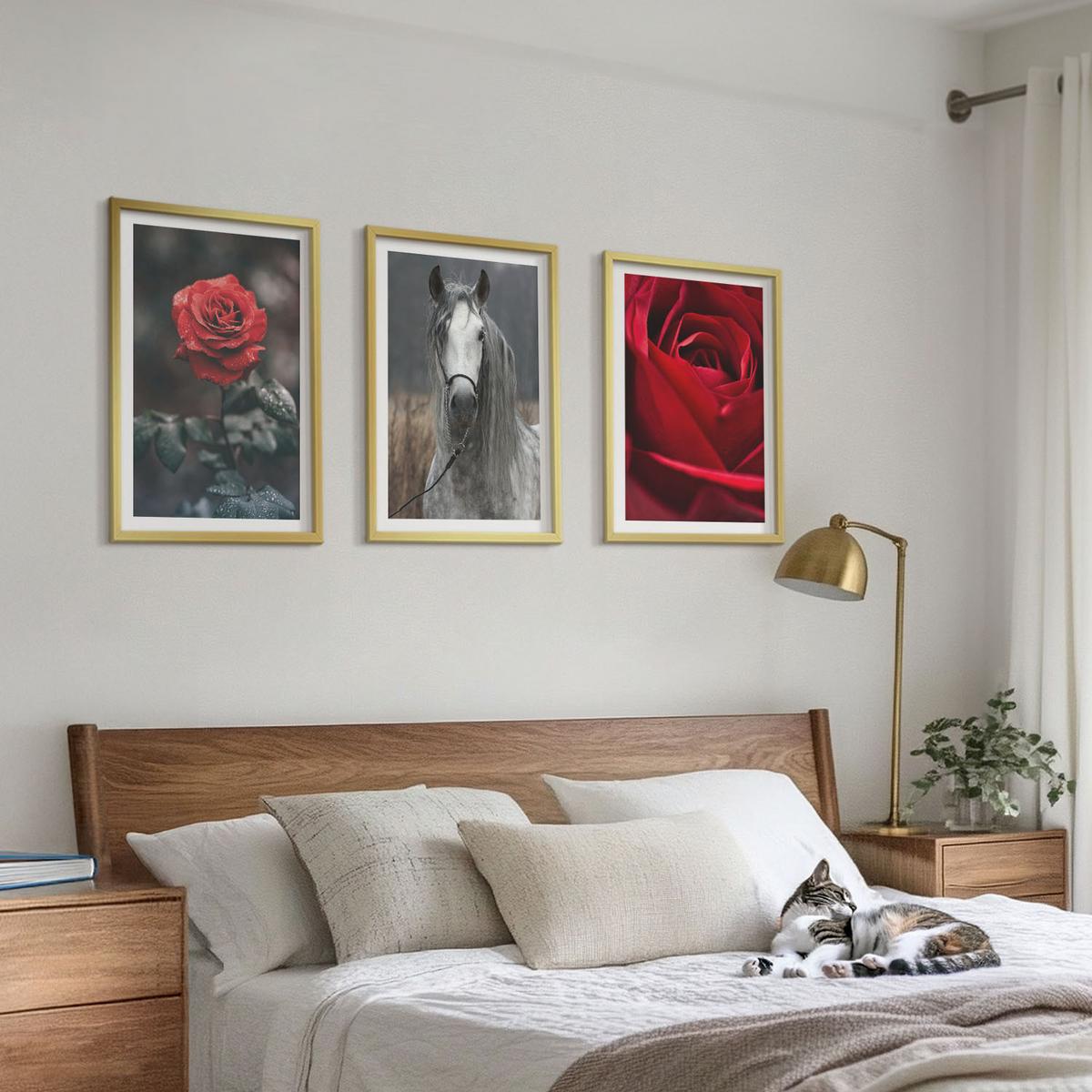 BILDER SET 3er Set - 40x60 cm Goldrahmen - Rote Rosen, Pferdegrau, Welt - Goldfarben, Kunststoff (40/60cm) - TULUP