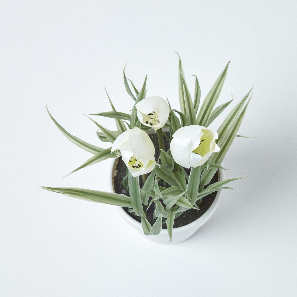 KUNSTBLUMEN Tulpen weiß im Blumentopf, 22 cm - Weiß, Kunststoff (22cm) - Homescapes