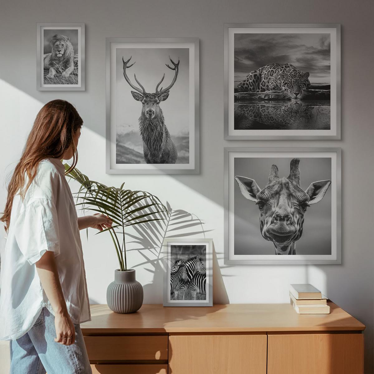 BILDER SET 5er Set - 50x50 cm & 20x30 cm & 40x60 cm Silberner Rahmen - Wildtiere Löwe Jaguar Giraffe Zebras - Silberfarben, Kunststoff (40/60cm) - TULUP