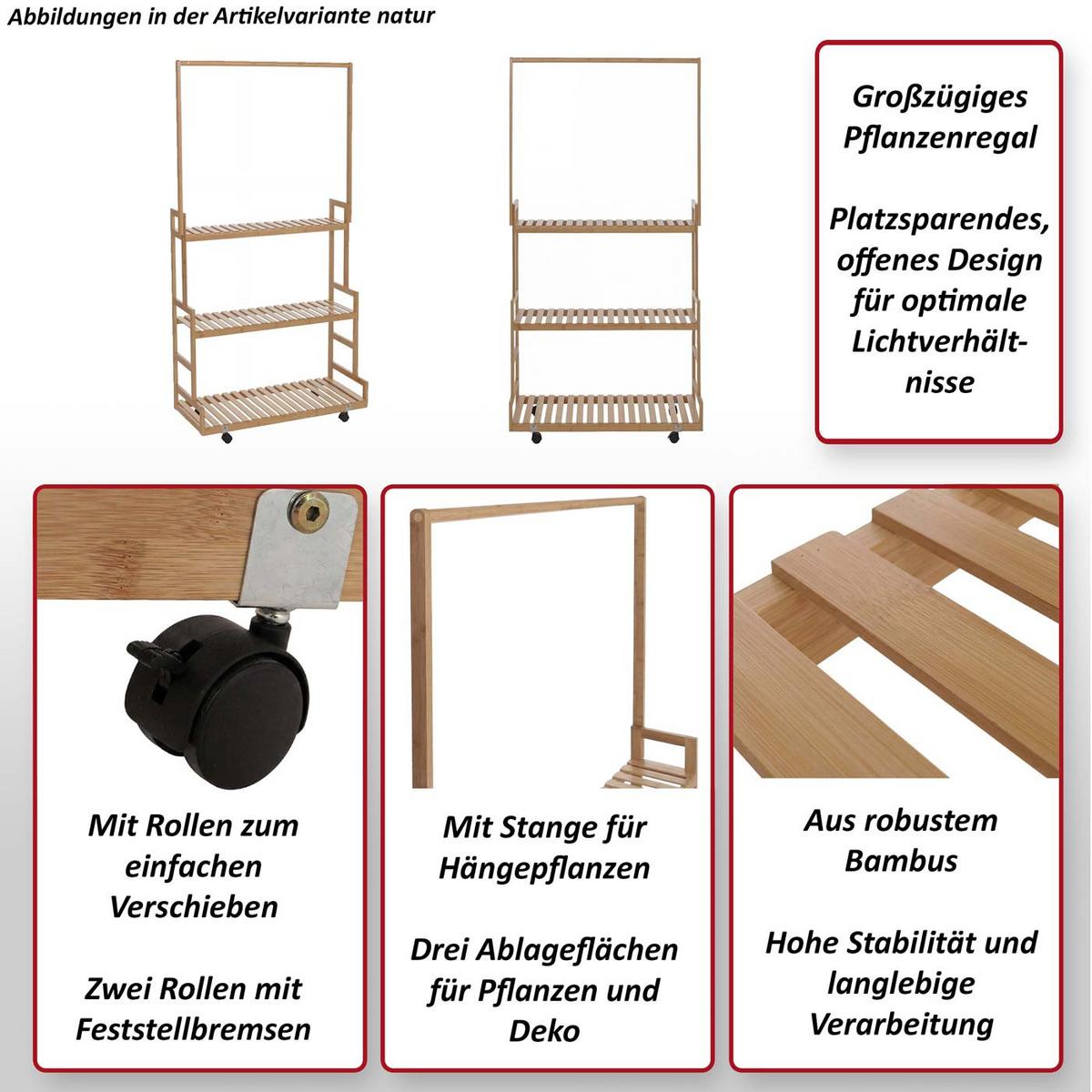 PFLANZENREGAL Braun - Braun, Holz (93/175/38cm) - MCW