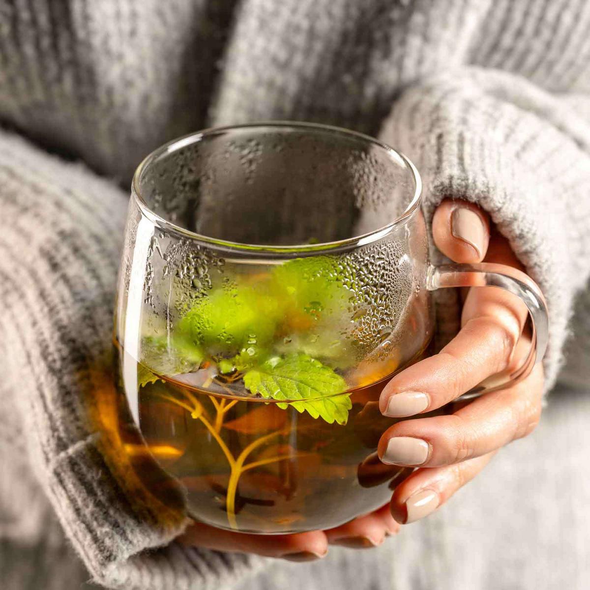 TEETASSEN Tè Per Te transparent 570 ml 4er Set - Transparent, Glas (0.57L) - Leonardo Living