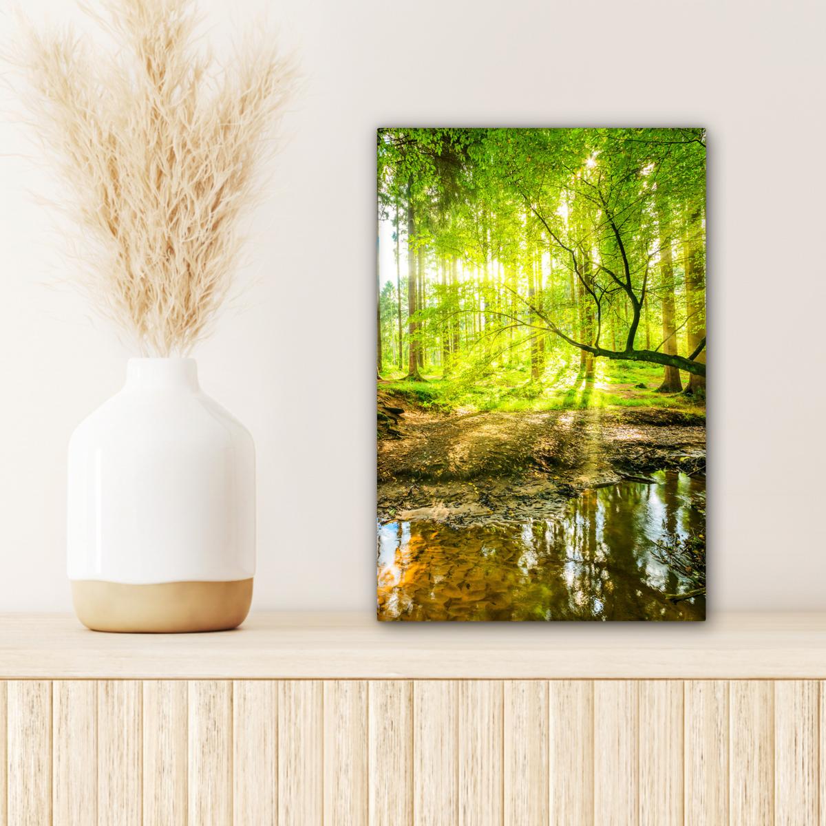 LEINWANDBILD Wald - Landschaft - Wasser - Bäume - Sonne - Grün - Natur Deko Wohnzimmer 20x30 cm - Grün, Textil (20/30cm) - MuchoWow