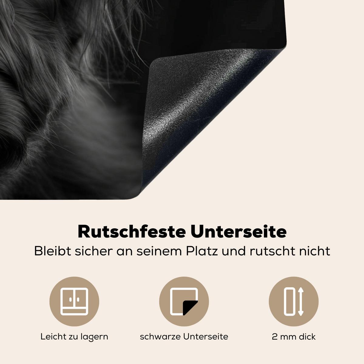 HERDABDECKPLATTE Scottish Highlander - Schwarz - Kalb - Kuh Induktionsmatte 77x51 cm - Schwarz, Kunststoff (77/51/0.2cm) - MuchoWow