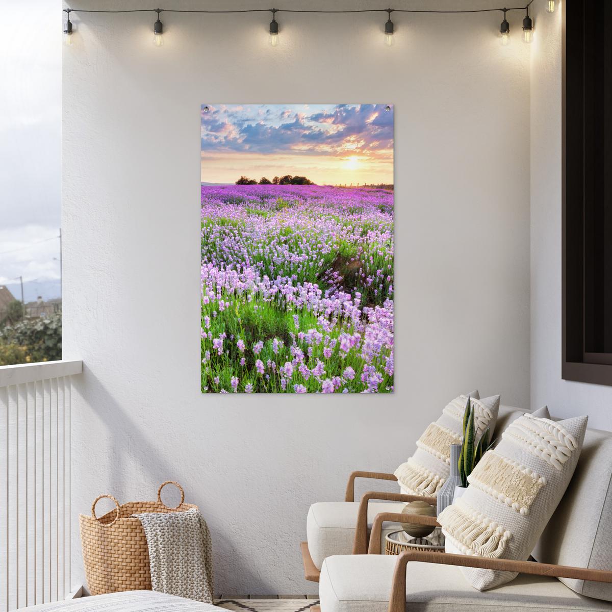 GARTENPOSTER Blumen - Lavendel - Lila - Himmel - Sonnenuntergang - Wiese - Natur Outdoor Bilder 80x120 cm - Flieder, Kunststoff (80/120/0.2cm) - OnlyWow