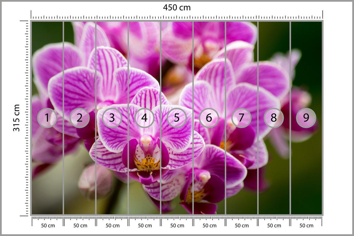 FOTOTAPETE für Wohnzimmer Violetter Orchideenstrauß Blumen 450x315 - Violett/Rosa, Papier (450/315cm) - Muralo