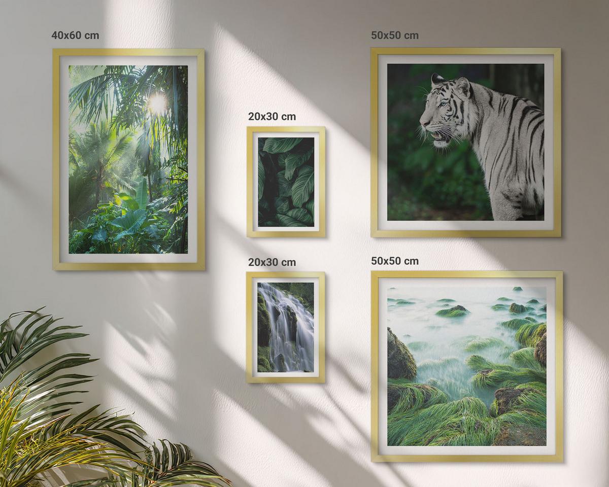 BILDER SET 5er Set - 50x50 cm & 20x30 cm & 40x60 cm Goldrahmen - Blätter und Blüten in verschiedenen Farben - Goldfarben, Kunststoff (40/60cm) - TULUP