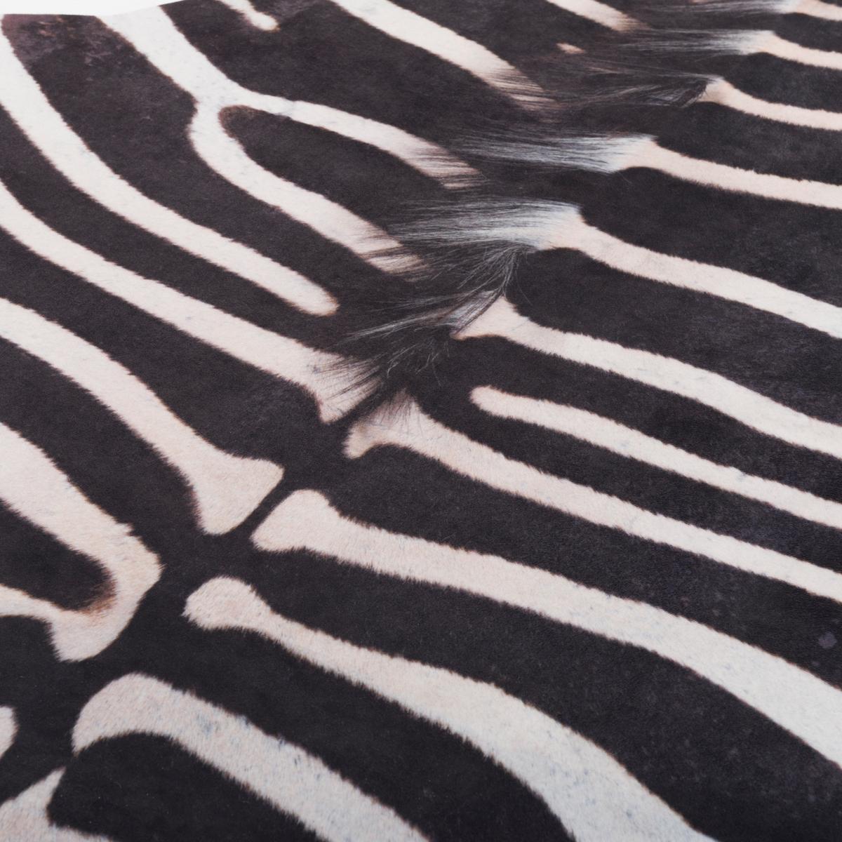 KUNSTFASER TEPPICH ZEBRA - Schwarz/Weiß, Textil (155/190cm) - Pergamon