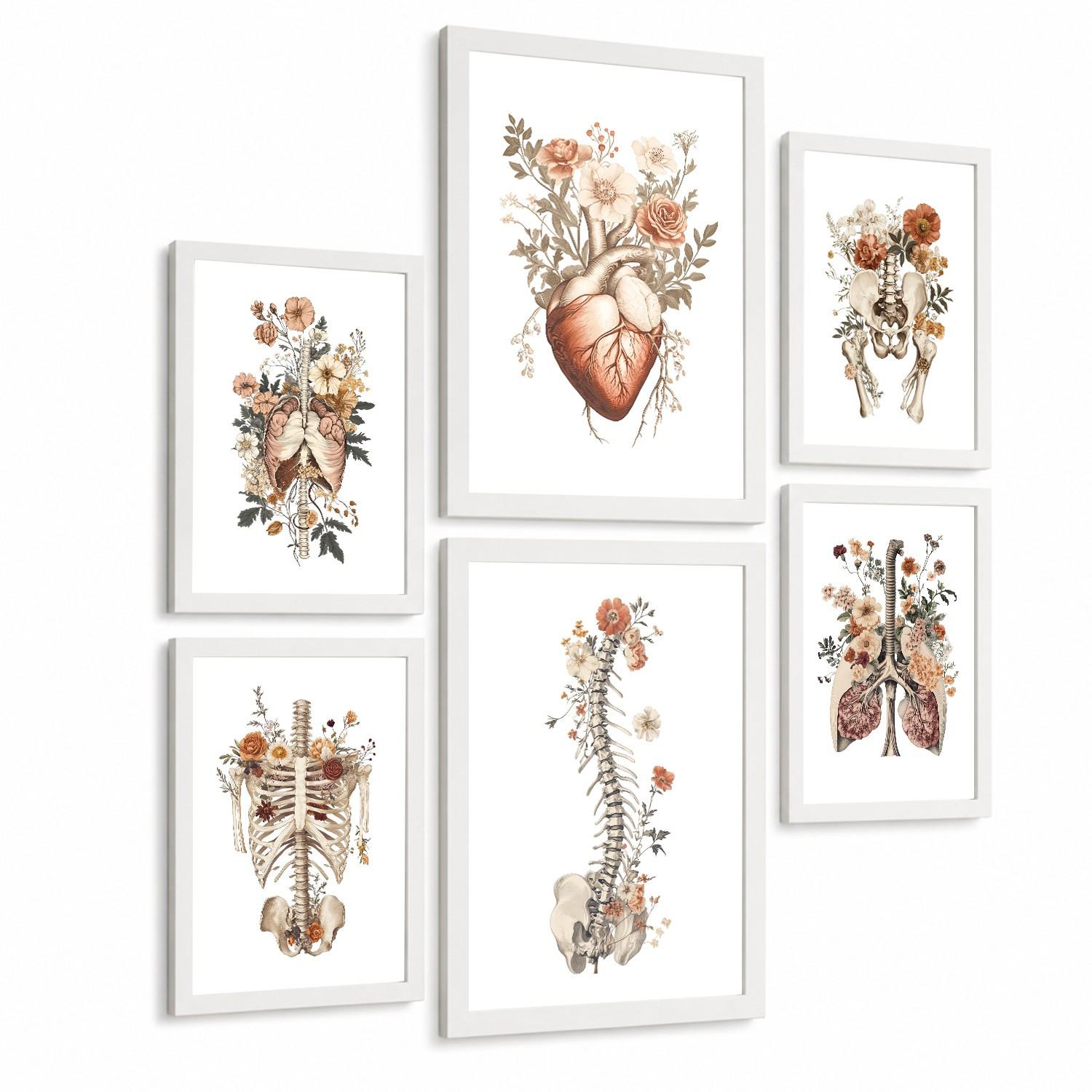 POSTER Set aus 6 Anatomie Mensch Florale Aquarell Drucke und mit Gehirn Lungen Skelett Nieren und Organen Botanische Größe Weißer Rahmen A3 & A4 - Weiß, Papier (21/29.7/3cm) - Nacnic