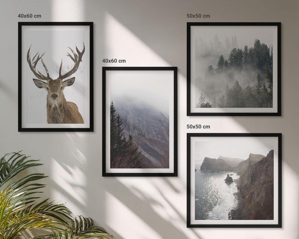 BILDER SET 4er Set - 50x50 cm & 40x60 cm Schwarzer Rahmen - Berglandschaft Nebel Hirsch - Schwarz, Kunststoff (50/50cm) - TULUP