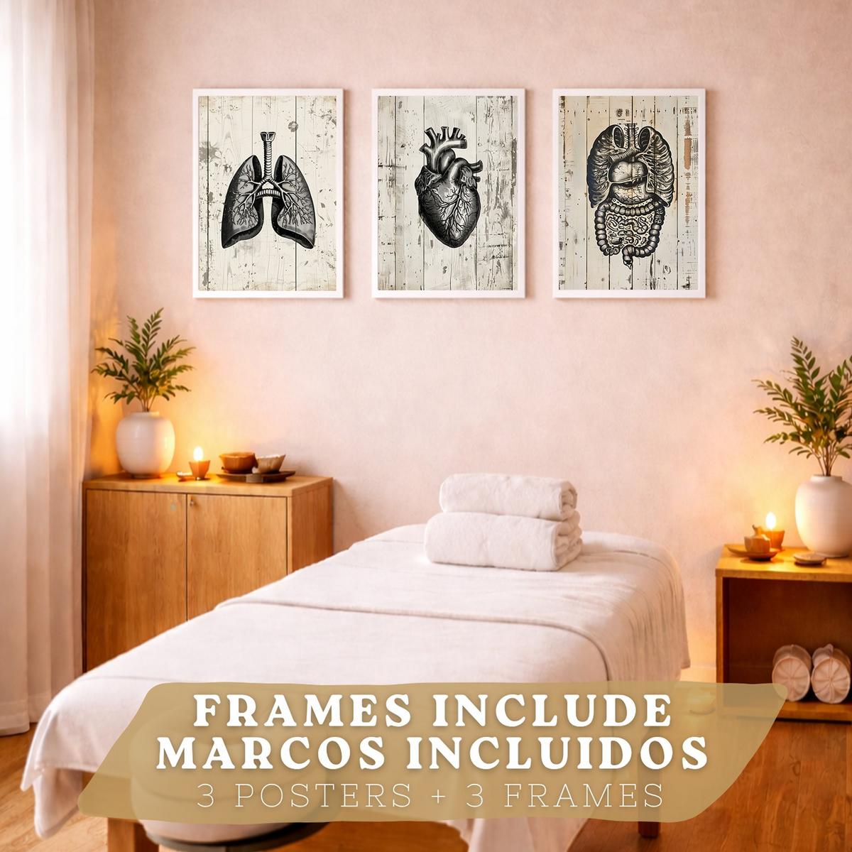 POSTER Set aus 3 Anatomie Mensch Drucke und Wandbilder mit Lungen Darm und Herz Rustikaler Stil Medizinische Wanddekoration Größe Weißer Rahmen A4 - Weiß, Papier (21/29.7/3cm) - Nacnic