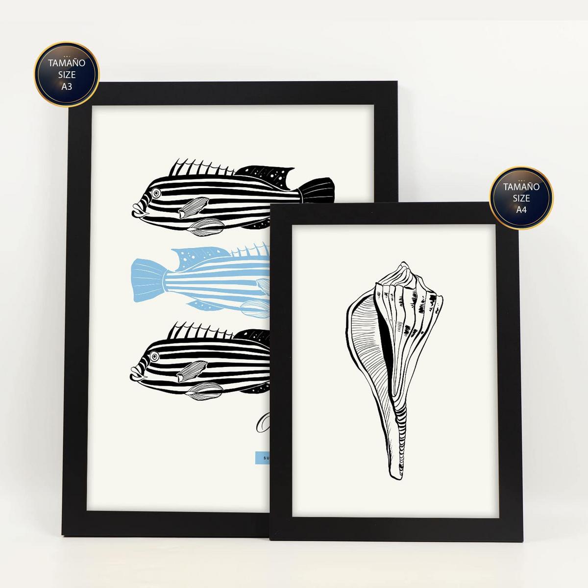 POSTER Set Mit 6 In Schwarzer Tinte Meerestiere Kunstdrucke Von Meer Und Ozean Für Innenarchitektur A3 & A4 Schwarzer Rahmen - Schwarz, Papier (29/3cm) - Nacnic