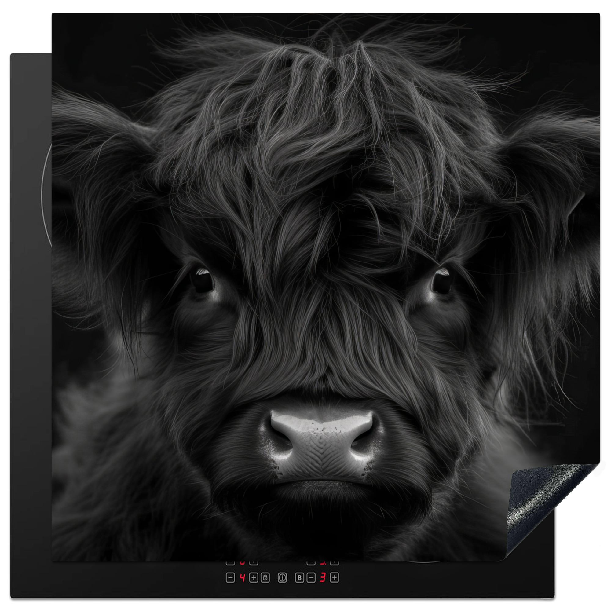 HERDABDECKPLATTE Scottish Highlander - Schwarz - Kalb - Kuh Induktionsmatte 78x78 cm - Schwarz, Kunststoff (78/78/0.2cm) - MuchoWow
