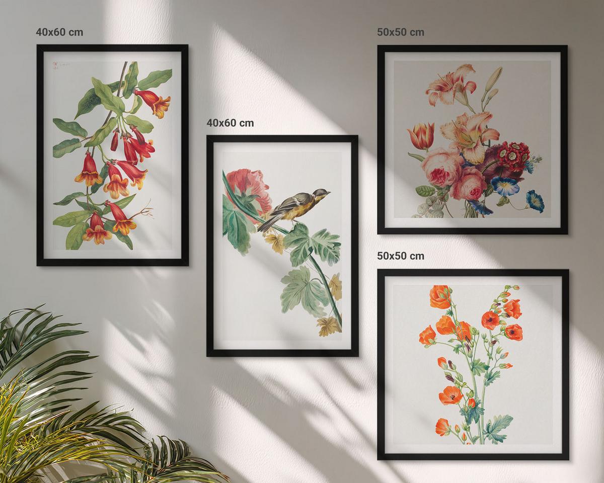 BILDER SET 4er Set - 50x50 cm & 40x60 cm Schwarzer Rahmen - Gemalte Blumen, Retro-Vogel - Schwarz, Kunststoff (50/50cm) - TULUP