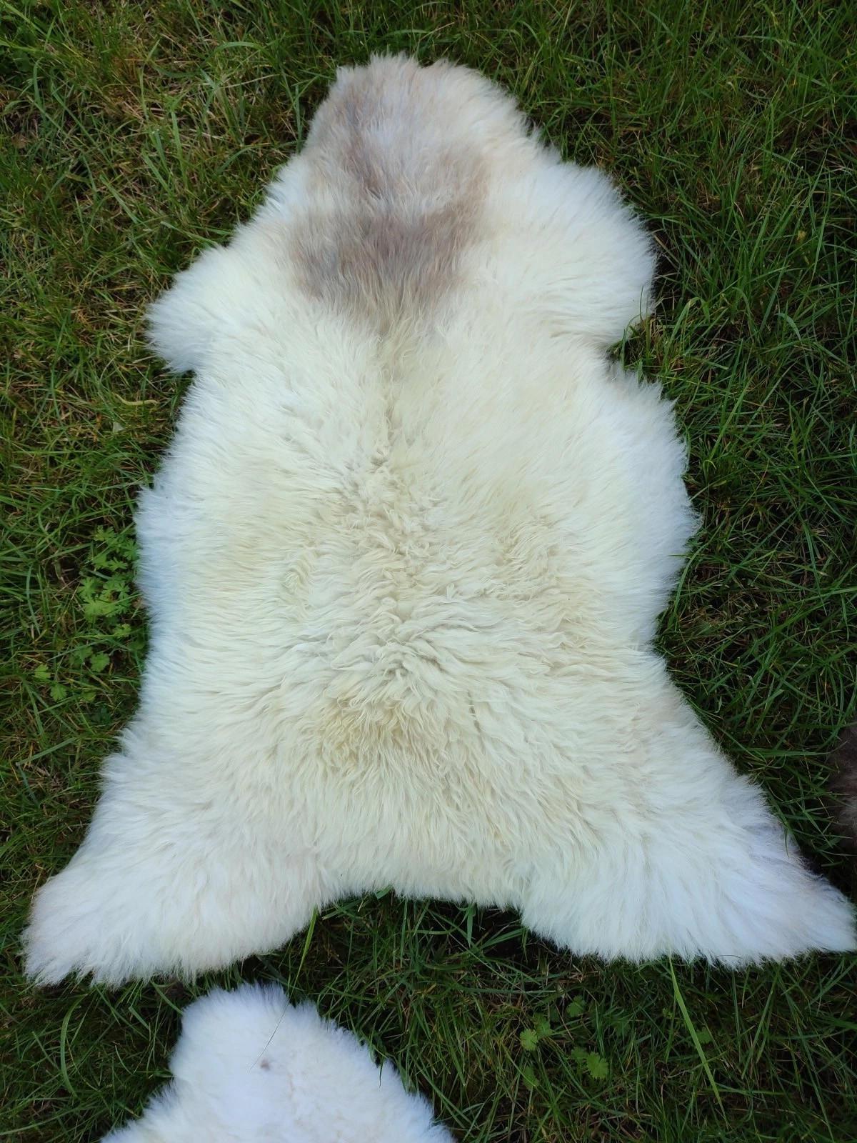 LAMMFELL Natur Schaffell hell gefleckt langhaar ca. 105 cm - Creme/Weiß, Fell (60/105cm) - Provellus