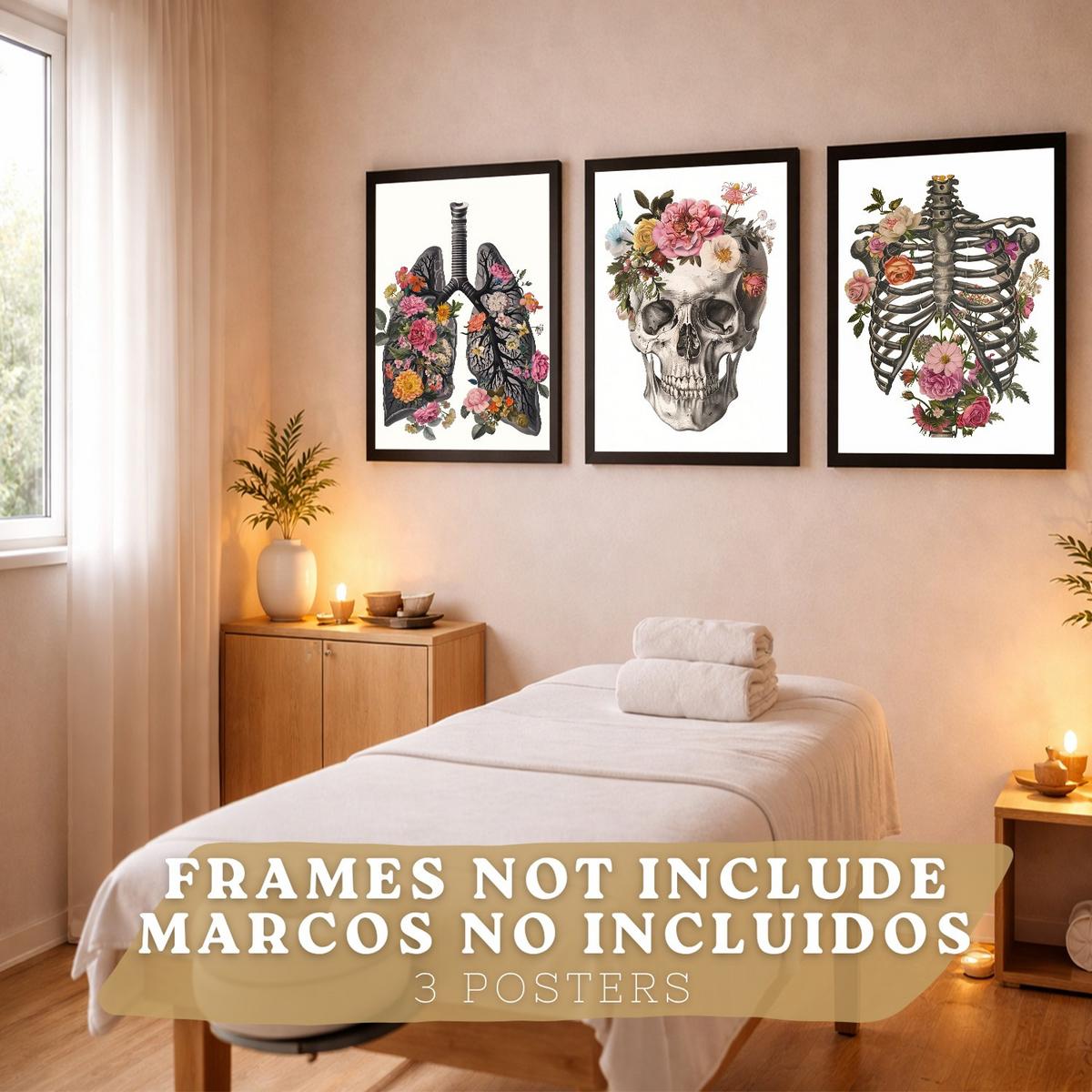 POSTER Set aus 3 Anatomie Mensch Drucke und mit Lungen Luftröhre Bronchien Rippen Wirbelsäule und Schädel Modernes Florales Größe Rahmenlos A4 - Klar, Papier (21/29.7/3cm) - Nacnic