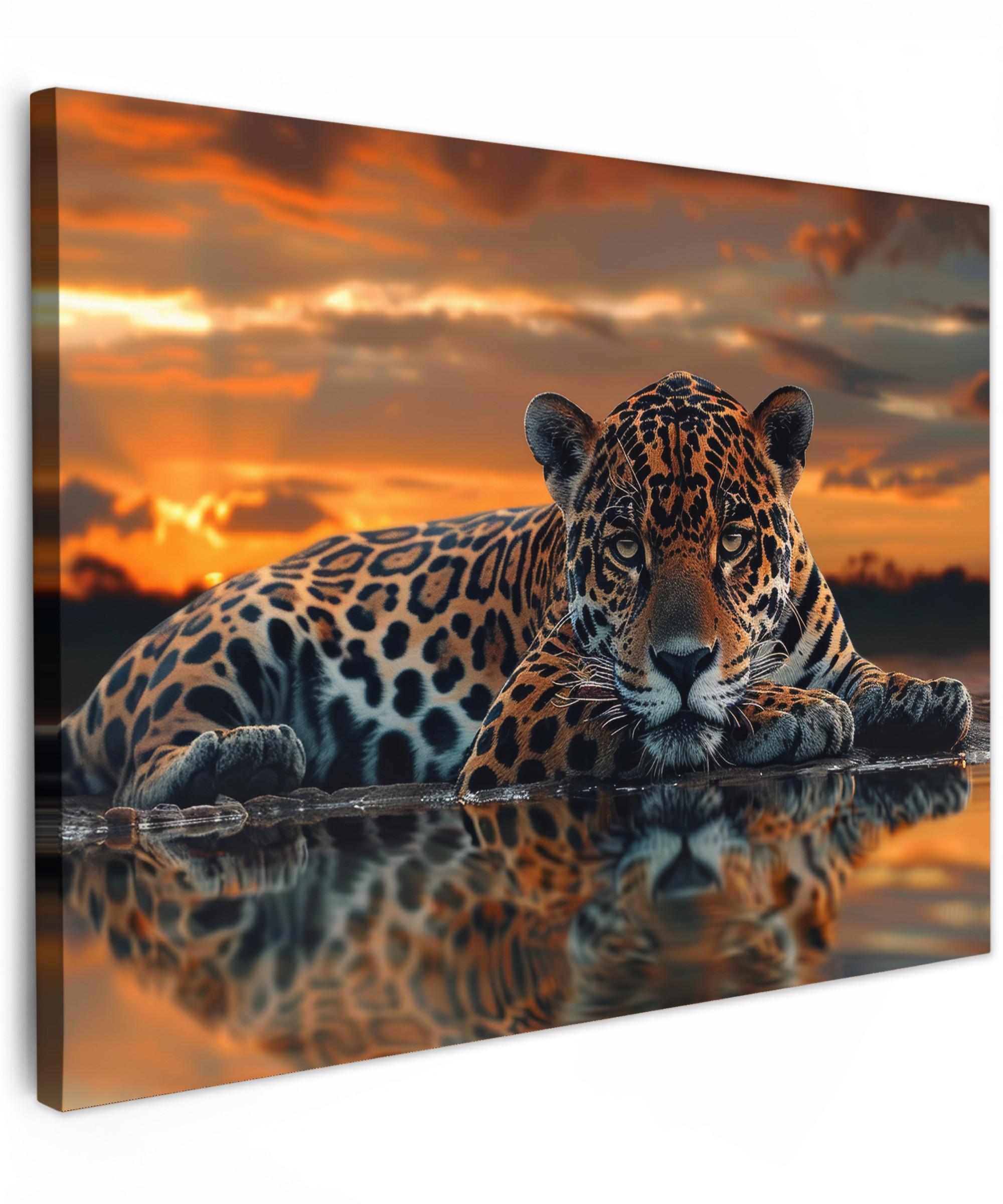 LEINWANDBILD Natur - Leopard - Tier - Sonnenuntergang - Modern Wandbilder 80x60 cm - Orange, Textil (80/60cm) - MuchoWow