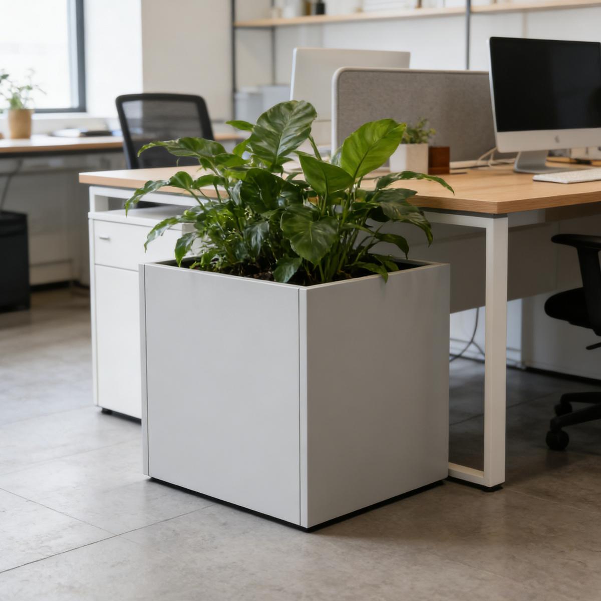 PFLANZKÜBEL Vaargel - Beige, Metall (60/60/60cm) - casa.pro