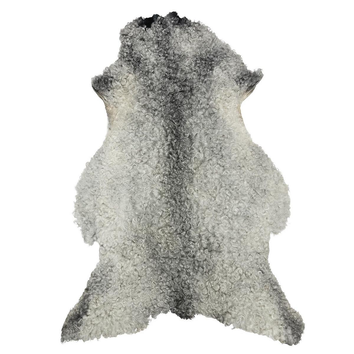 SCHAFFELL Gotland Naturgrau Lockig Unikat ca. 100 cm - Hellgrau, Fell (60/100cm) - Provellus