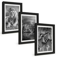 BILDER SET 3er Set - 20x30 cm Schwarzer Rahmen - Wildtiere der Savanne - Schwarz, Kunststoff (20/30cm) - TULUP