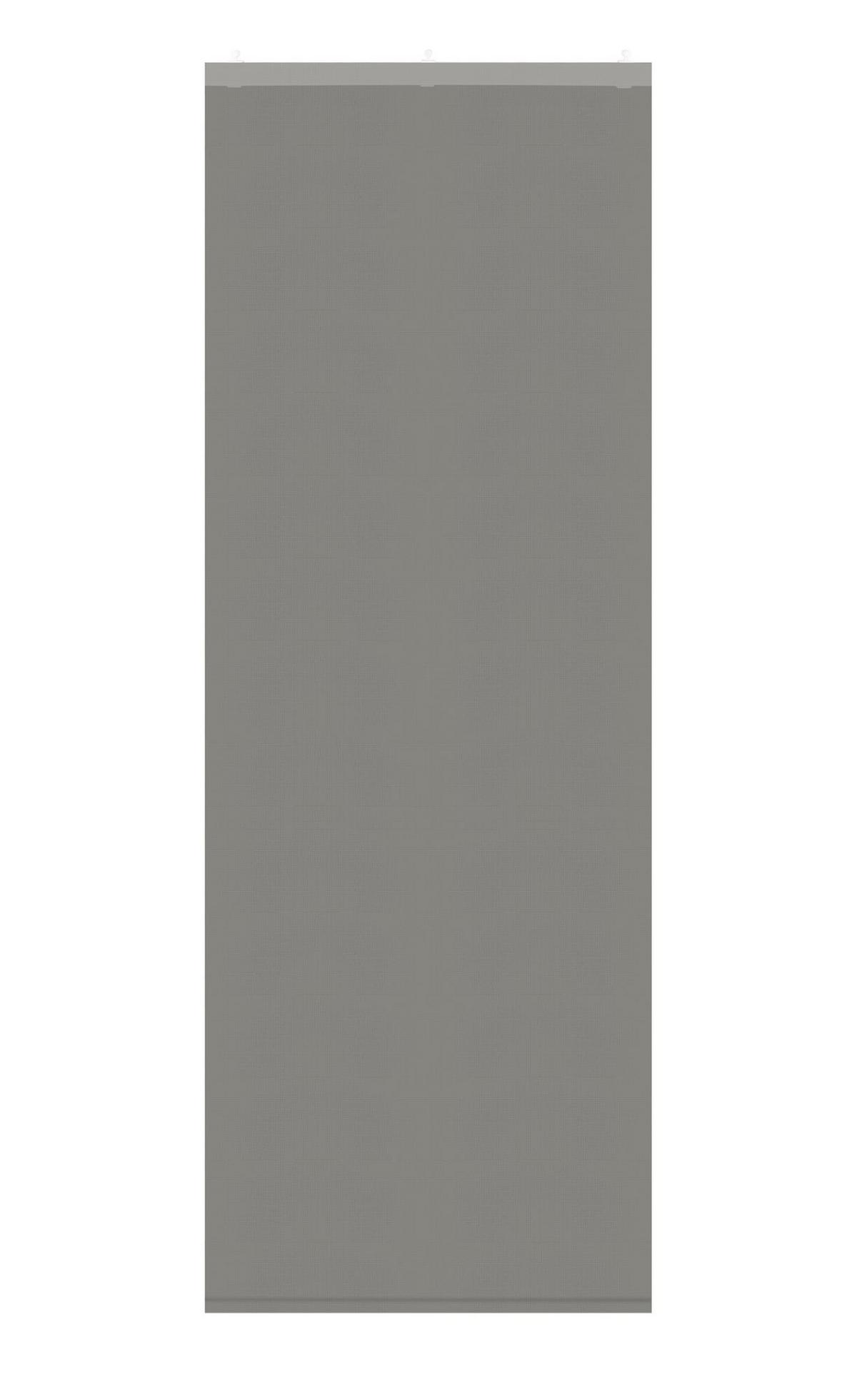 SCHIEBEGARDINE New Amsterdam HxB 245x60 cm Grau - Grau, Textil (60/245cm) - Gardinenbox