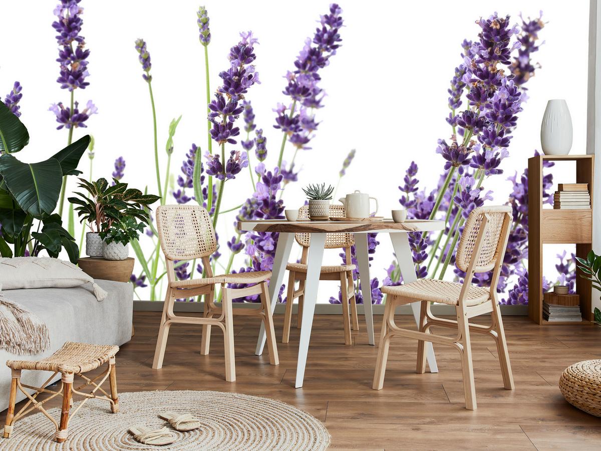 FOTOTAPETE für Küche Lavendelblüten Weißer Hintergrund 100x70 - Violett/Lila, Papier (100/70cm) - Muralo