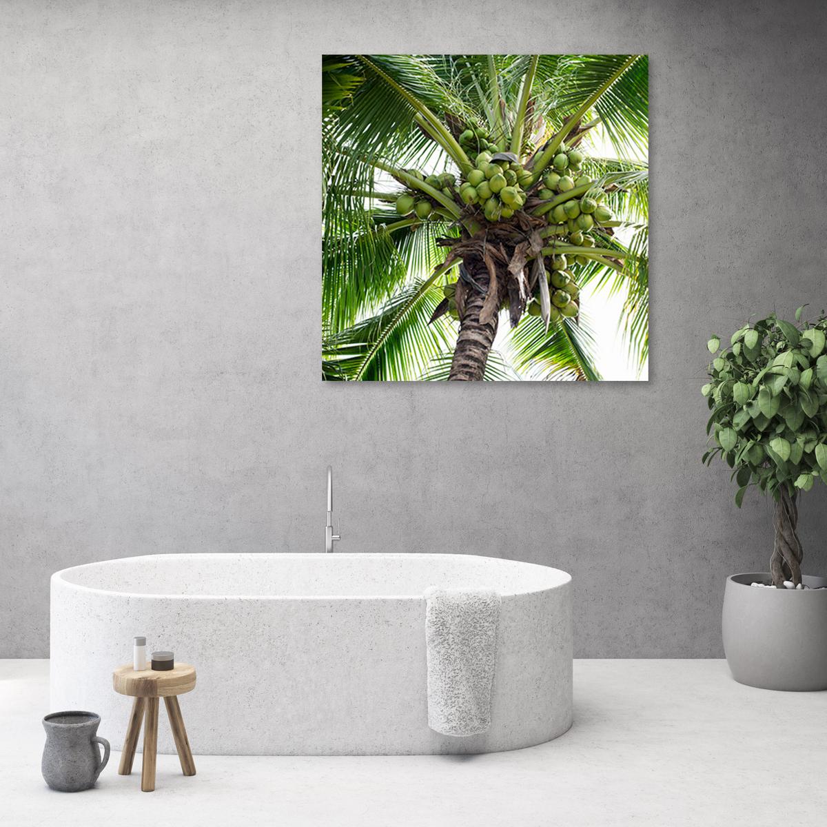WANDBILD kokusnuss palme - Grün, Textil (30/30cm) - Feeby