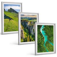 BILDER SET 3er Set - 40x60 cm Silberner Rahmen - Grüne Berge, Flussfelsen - Silberfarben, Kunststoff (40/60cm) - TULUP
