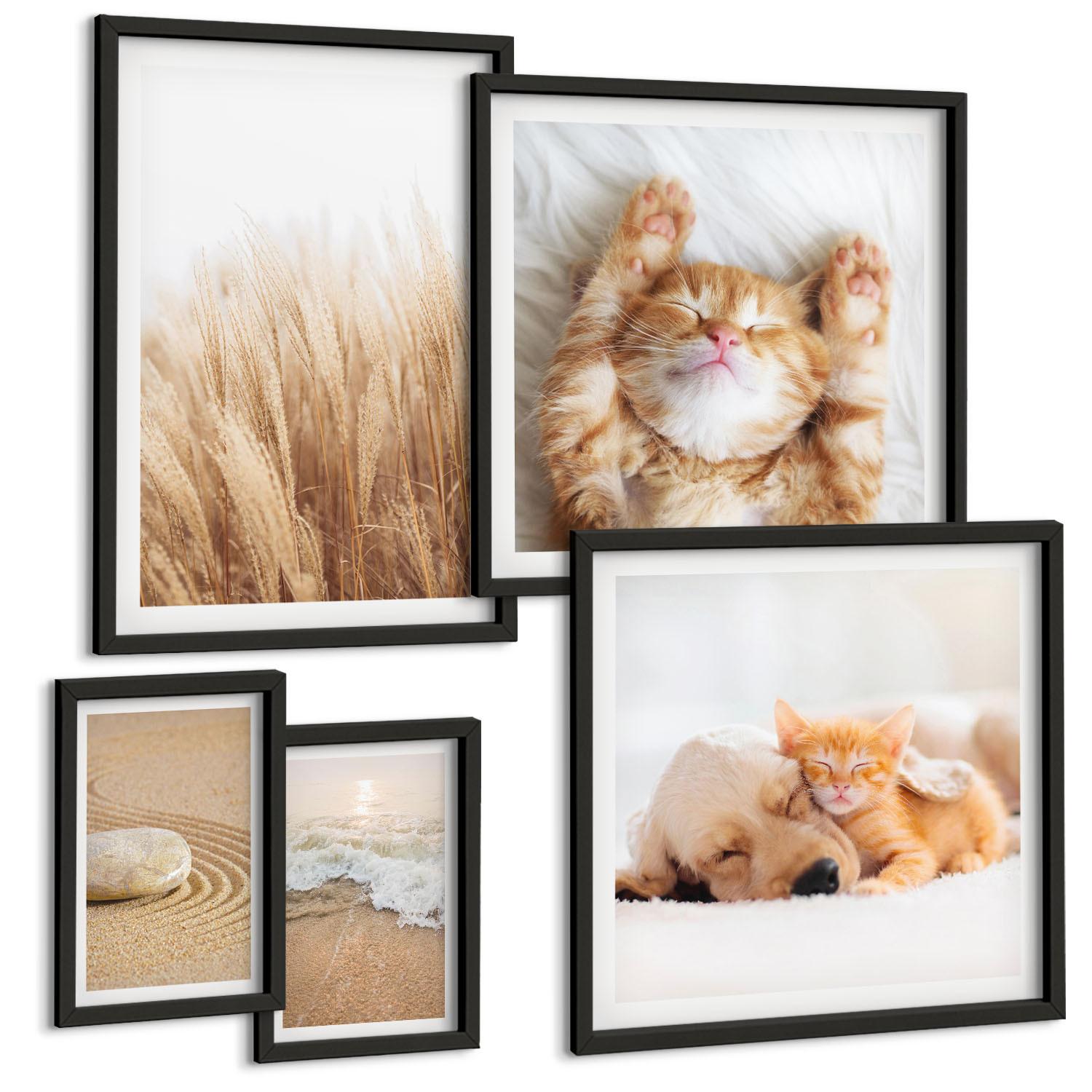BILDER SET 5er Set - 50x50 cm & 20x30 cm & 40x60 cm Schwarzer Rahmen - Niedliche Tiere, Katzen, Hunde, Strand - Schwarz, Kunststoff (40/60cm) - TULUP