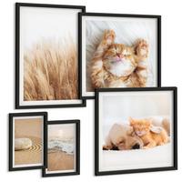 BILDER SET 5er Set - 50x50 cm & 20x30 cm & 40x60 cm Schwarzer Rahmen - Niedliche Tiere, Katzen, Hunde, Strand - Schwarz, Kunststoff (40/60cm) - TULUP