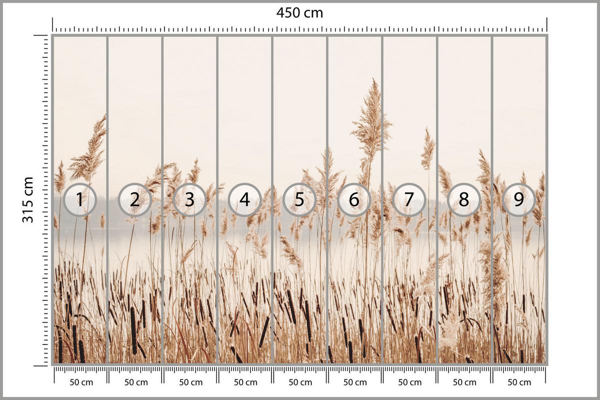 FOTOTAPETE für Wohnzimmer Pflanzen Natur 450x315 - Beige/Braun, Papier (450/315cm) - Muralo