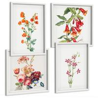 BILDER SET 4er Set - 50x50 cm & 40x60 cm Weißer Rahmen - Blumenmalerei im Retro-Stil - Weiß, Kunststoff (50/50cm) - TULUP