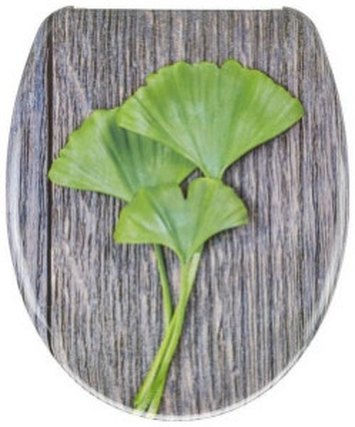 WC SITZ GINGKO