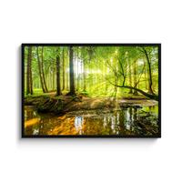 POSTER MIT RAHMENGERAHMTES BILD Wald - Landschaft - Wasser - Bäume - Sonne - Grün - Natur 120x80 cm - Grün, Papier (120/80cm) - MuchoWow