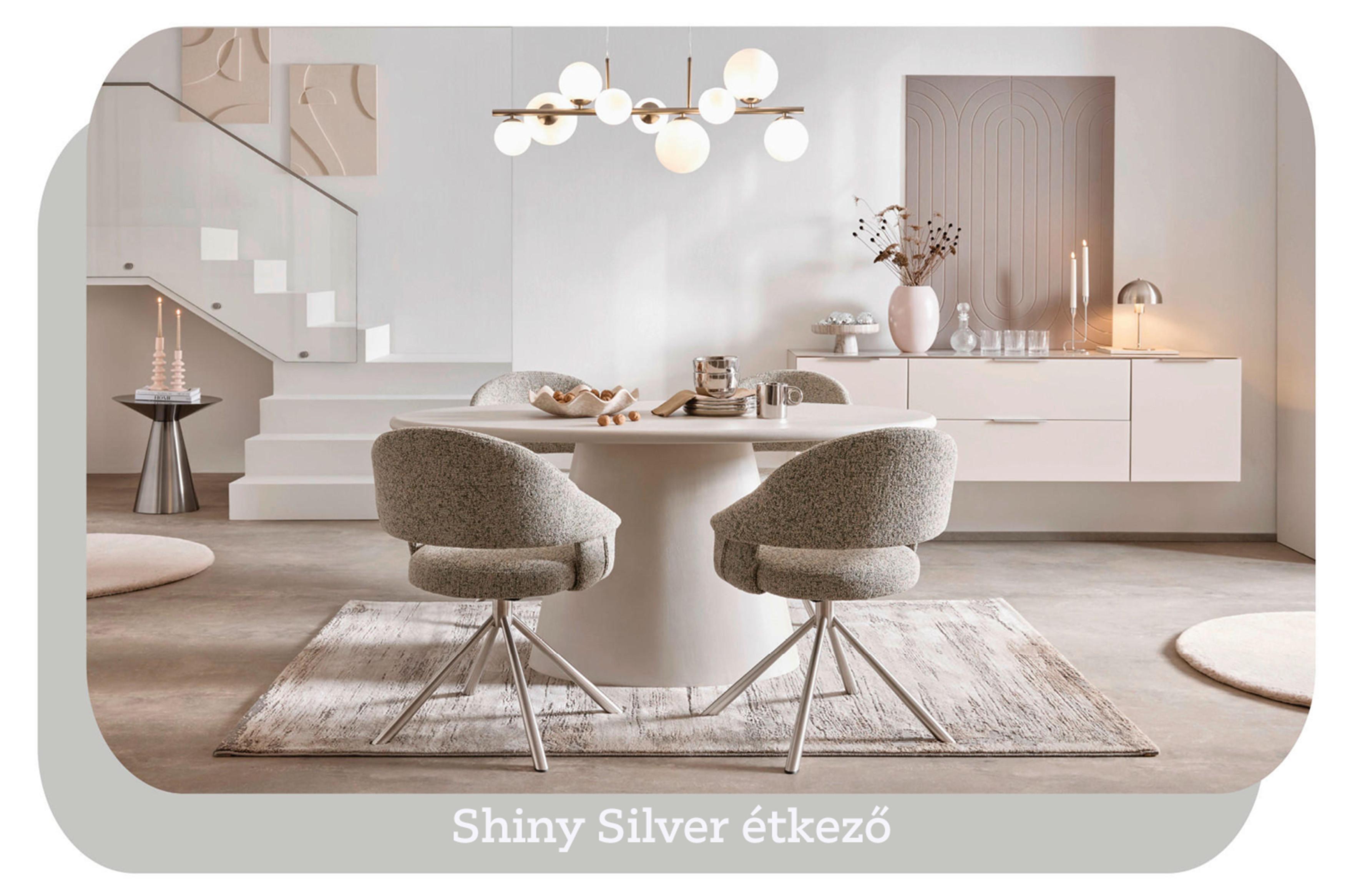 shiny-silver-etkezo