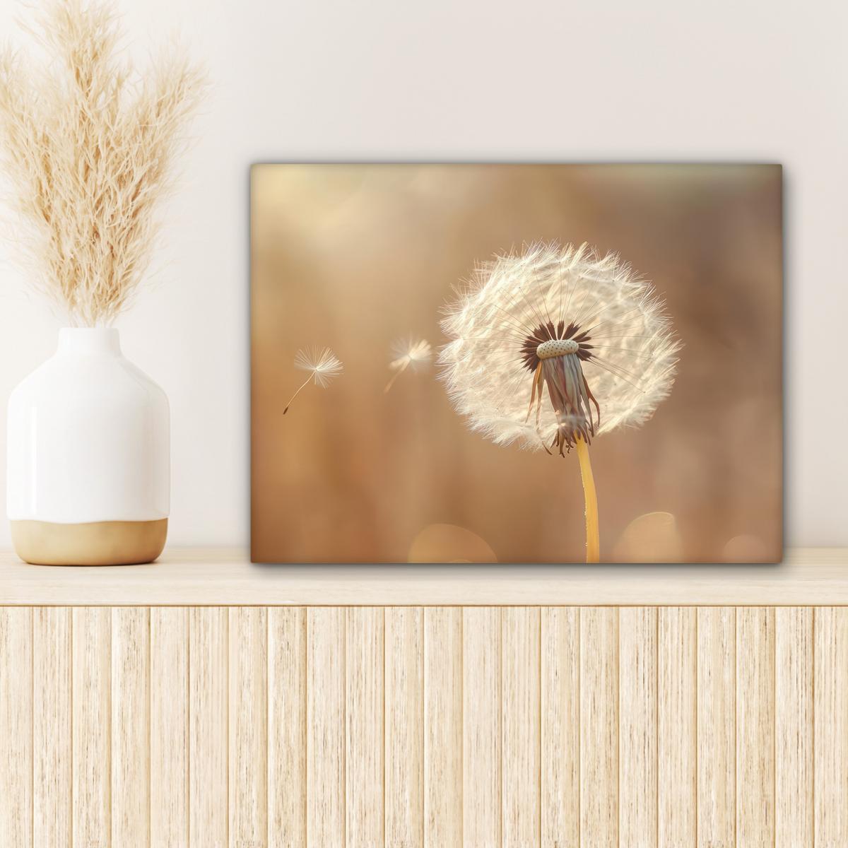 LEINWANDBILD Löwenzahn - Beige - Natur - Blume Wandbild 40x30 cm - Hellbraun, Textil (40/30cm) - MuchoWow