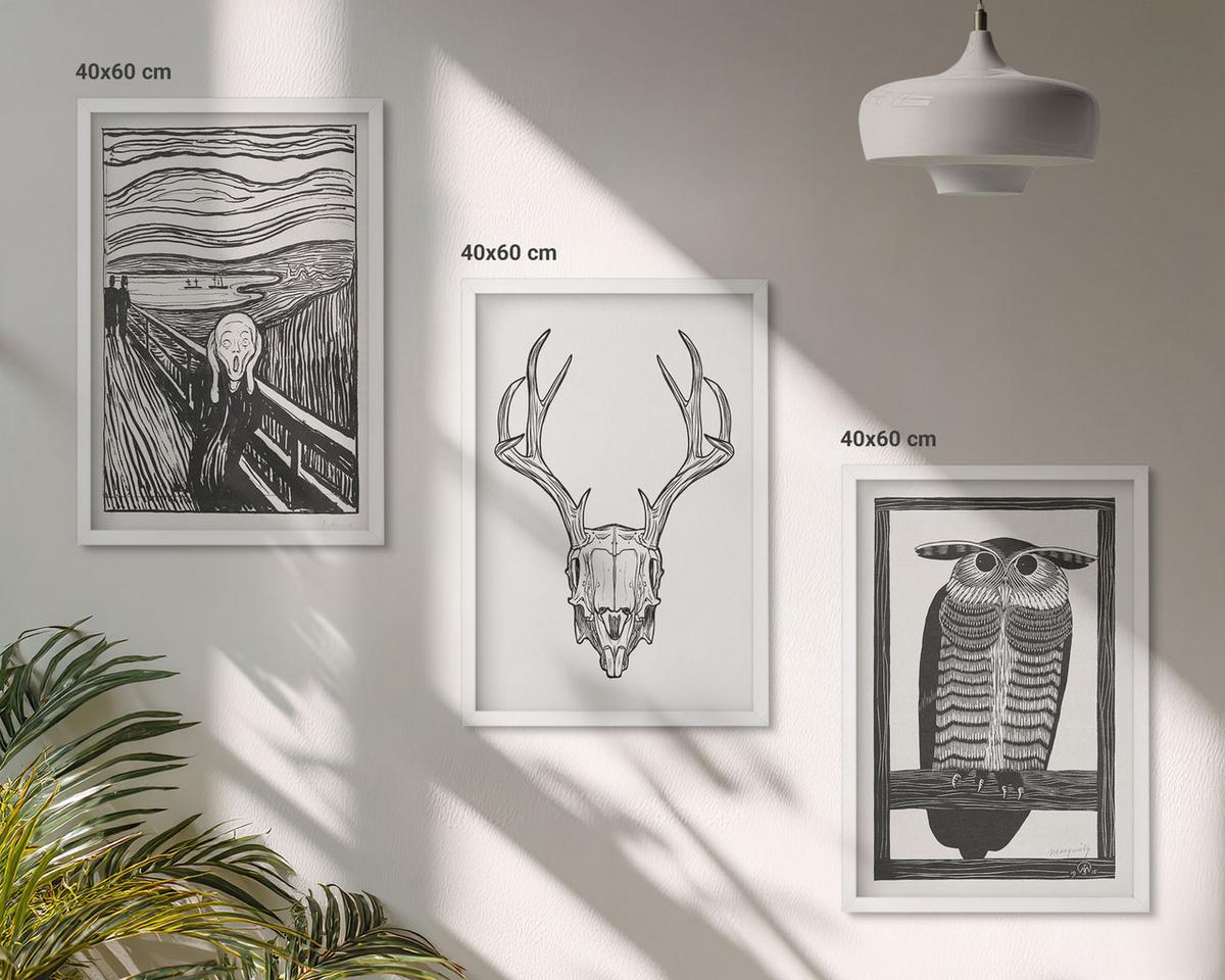 BILDER SET 3er Set - 40x60 cm Weißer Rahmen - Grafiken mit schreiendem Totenkopf-Eulen - Weiß, Kunststoff (40/60cm) - TULUP