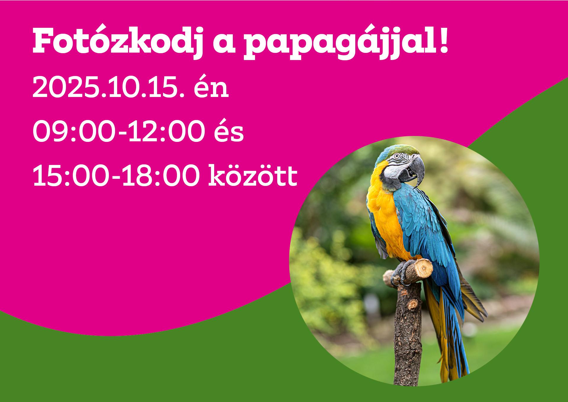 Fotózkodj a papagájjal 2025.10.15-én 9:00-12:00 és 15:00-18:00 között!