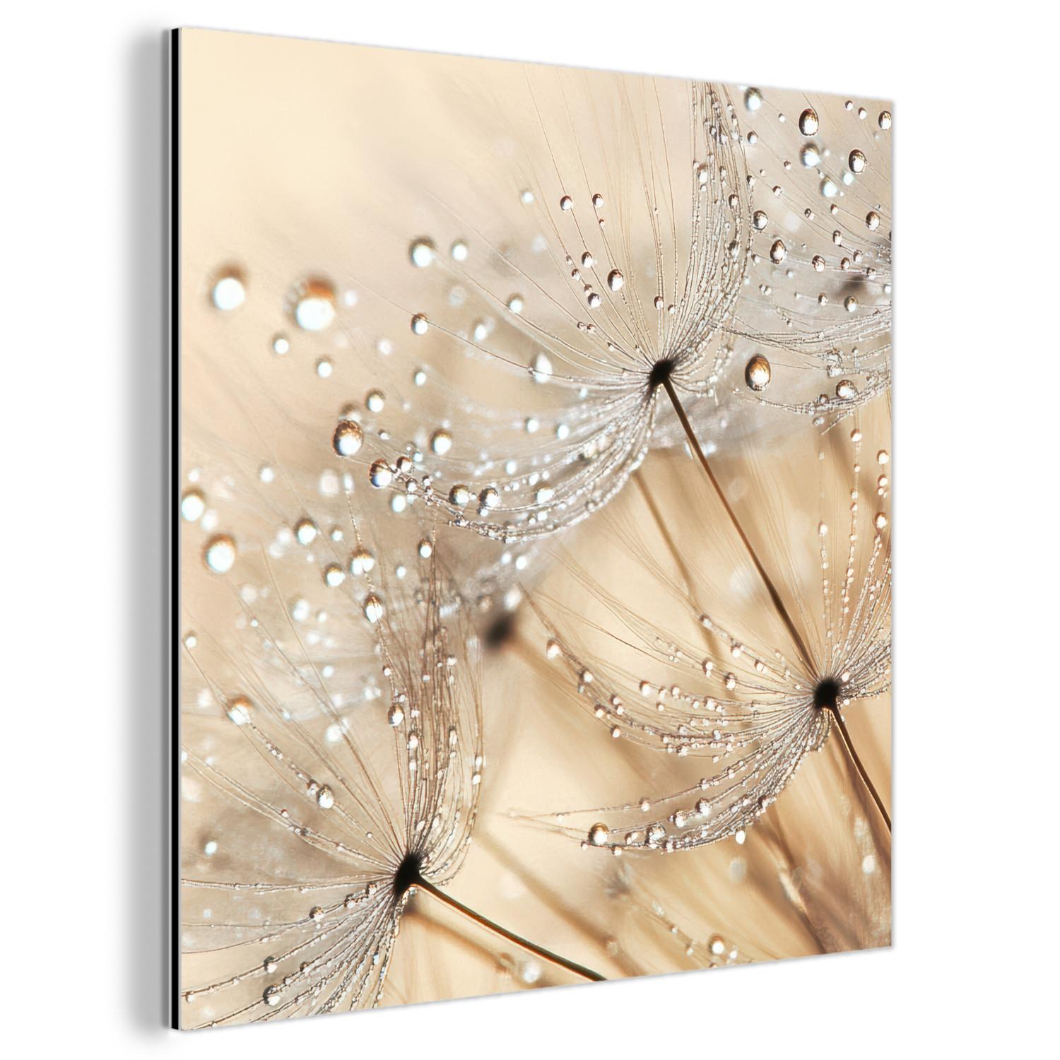 METALLBILD Löwenzahn - Abstrakt - Natur - Beige 90x90 cm - Braun, Metall (90/90cm) - MuchoWow
