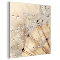 METALLBILD Löwenzahn - Abstrakt - Natur - Beige 90x90 cm - Braun, Metall (90/90cm) - MuchoWow