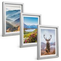 BILDER SET 3er Set - 20x30 cm Silberner Rahmen - Natur des Bergseehirsches - Silberfarben, Kunststoff (20/30cm) - TULUP