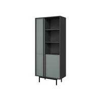 STANDREGAL Alsy 3D AL02 - Anthrazit/Grün, Holzwerkstoff/Kunststoff (83/195/43cm) - MIRJAN24