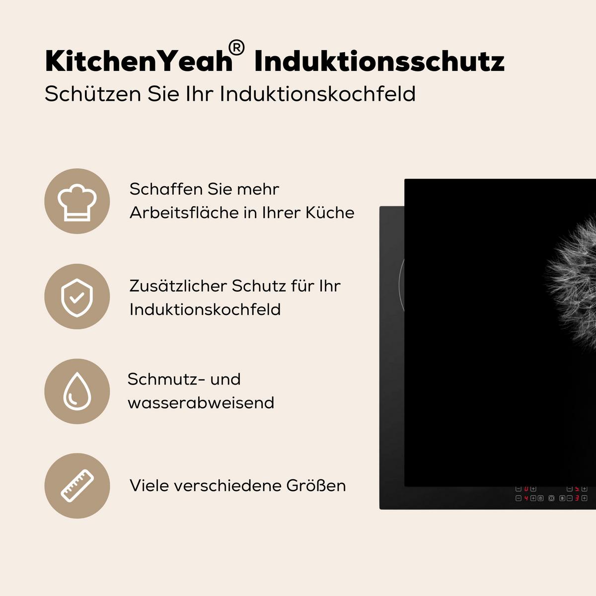 HERDABDECKPLATTE Löwenzahn - Schwarz - Floral - Botanisch Induktionsmatte 81x52 cm - Grau, Kunststoff (81/52/0.2cm) - MuchoWow