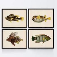 POSTER Set mit 4 FischWeinleseEffekt brauner gelber Ton A4 Rahmenlos - Klar, Papier (29.7/3cm) - Nacnic