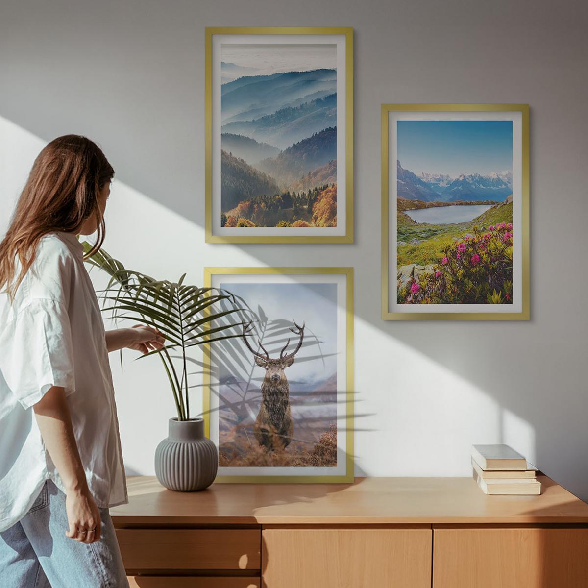 BILDER SET 3er Set - 40x60 cm Goldrahmen - Natur des Bergseehirsches - Goldfarben, Kunststoff (40/60cm) - TULUP