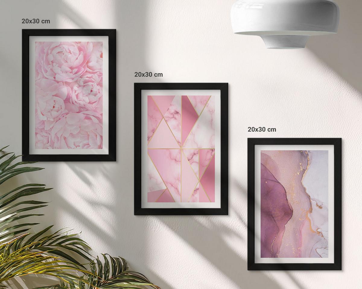BILDER SET 3er Set - 20x30 cm Schwarzer Rahmen - Rosa geometrische Pfingstrosen - Schwarz, Kunststoff (20/30cm) - TULUP