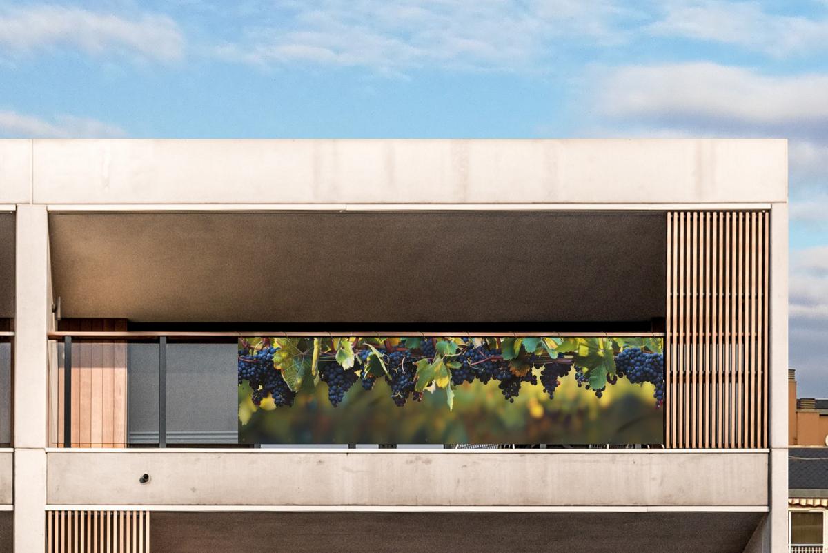 BALKON-SICHTSCHUTZ Trauben - Wein - Natur - Grün Windschutz 300x85 cm - Weinrot, Kunststoff (300/85cm) - MuchoWow