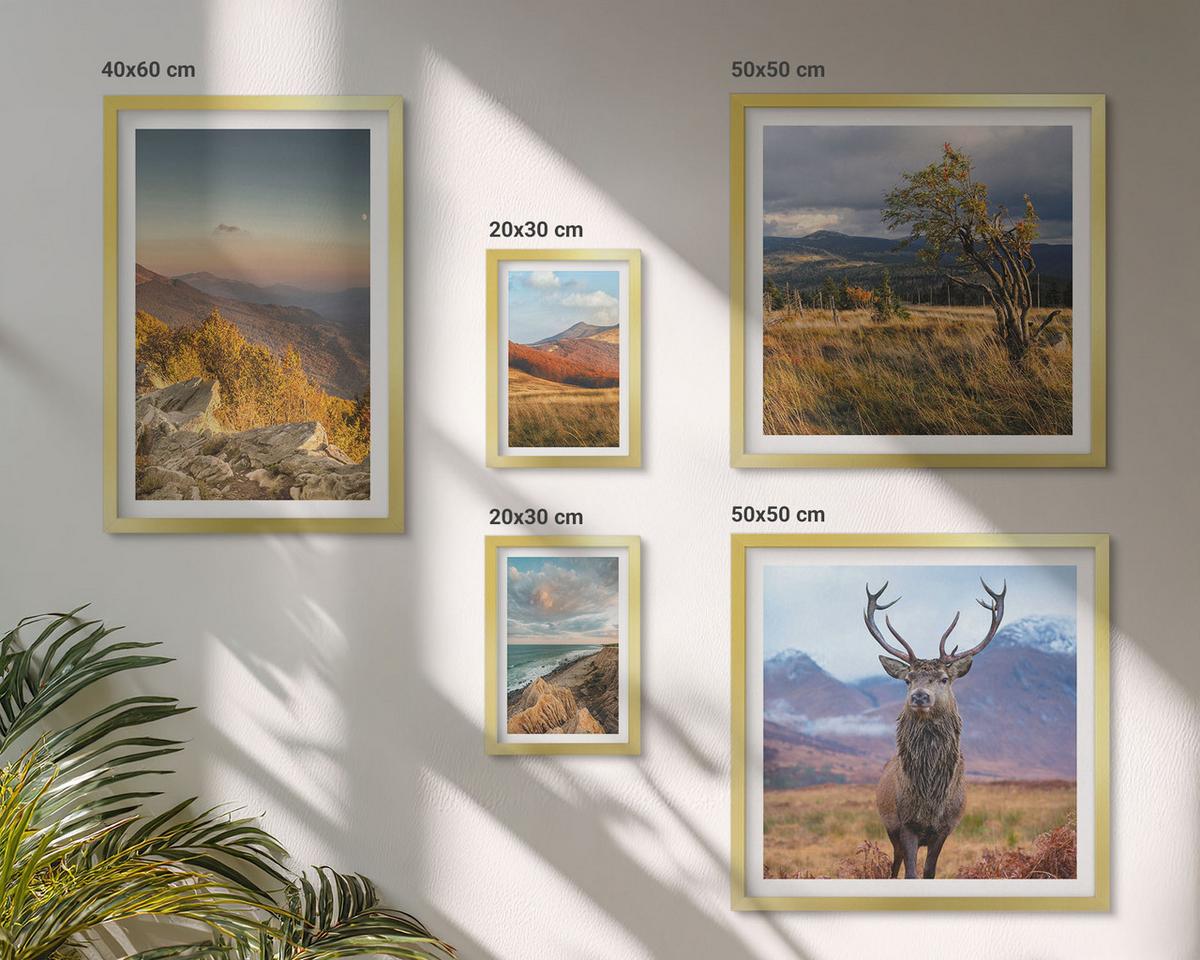 BILDER SET 5er Set - 50x50 cm & 20x30 cm & 40x60 cm Goldrahmen - Berglandschaften, Hirschgras - Goldfarben, Kunststoff (40/60cm) - TULUP